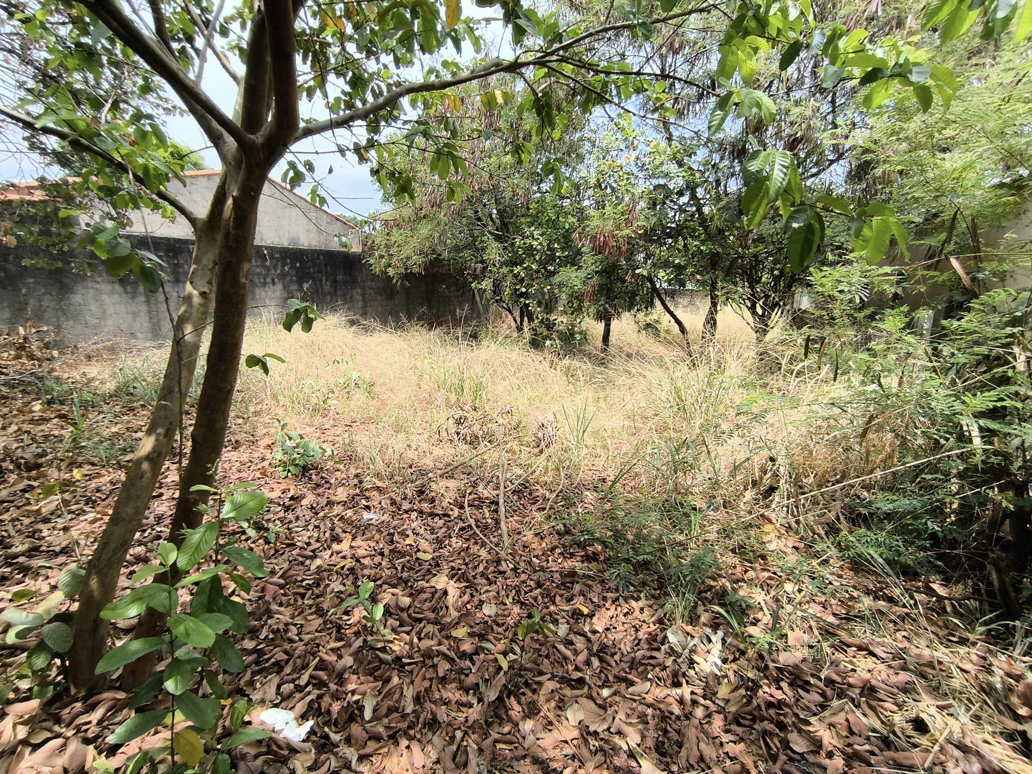 Terreno, 390 m² - Foto 5