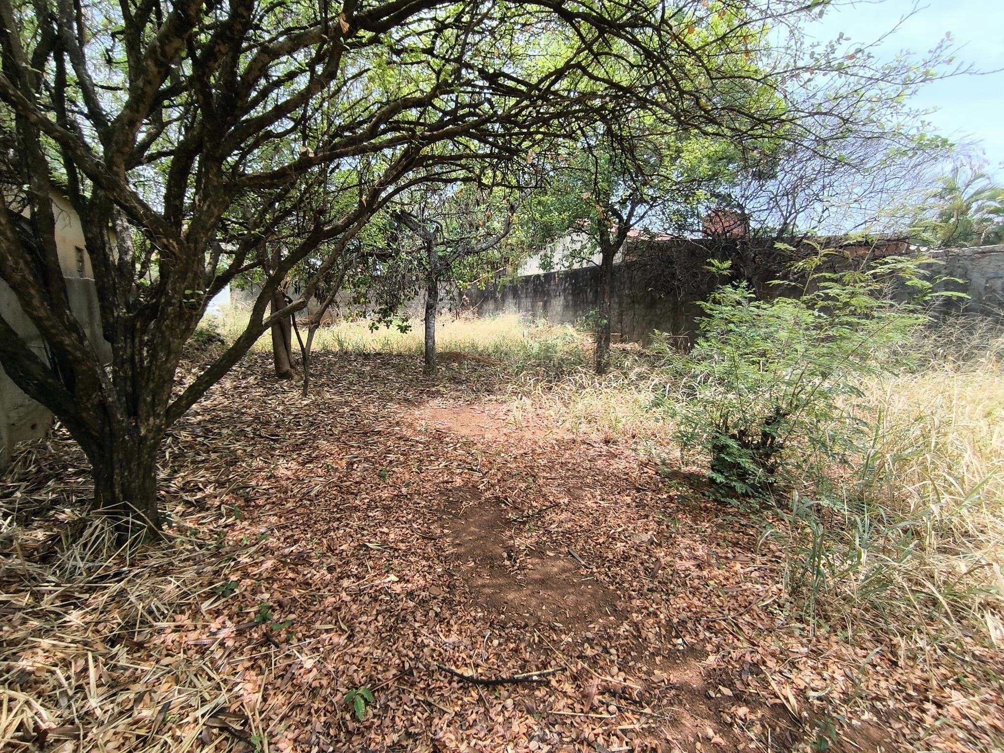 Terreno, 390 m² - Foto 4