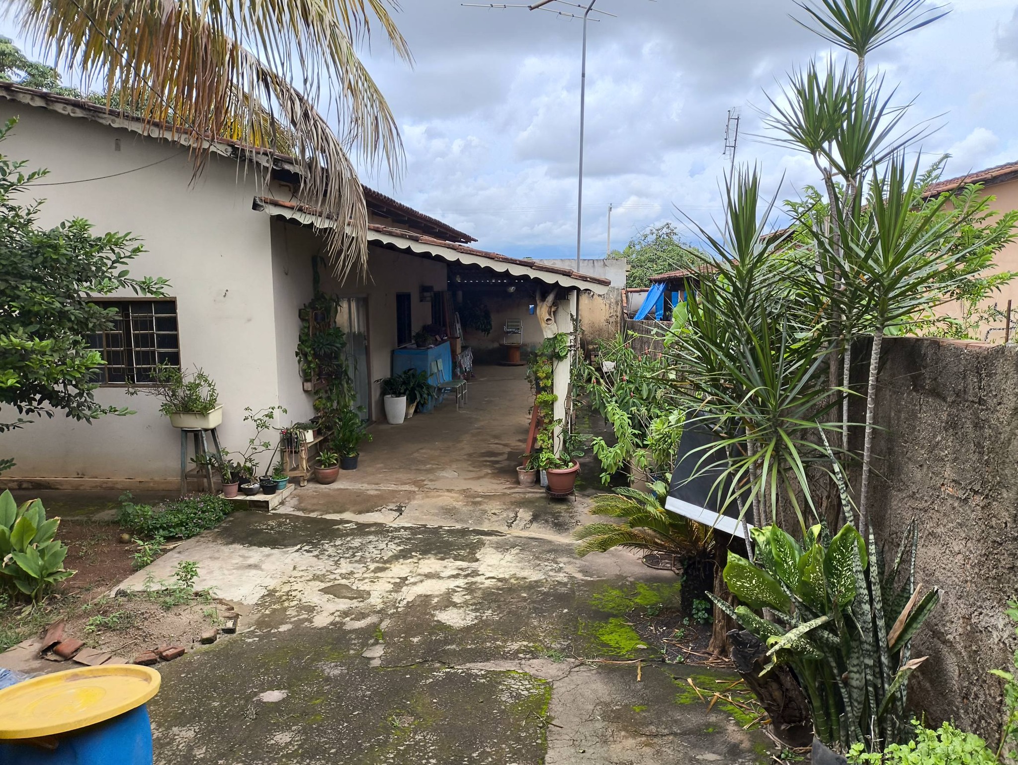 Loja-Salão, 250 m² - Foto 12