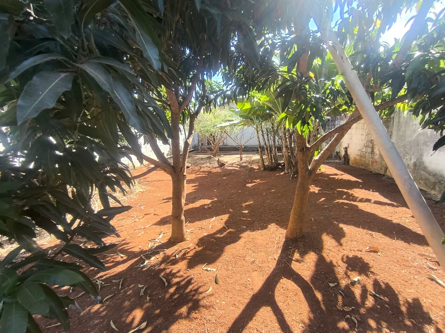 Casa, 3 quartos, 100 m² - Foto 3