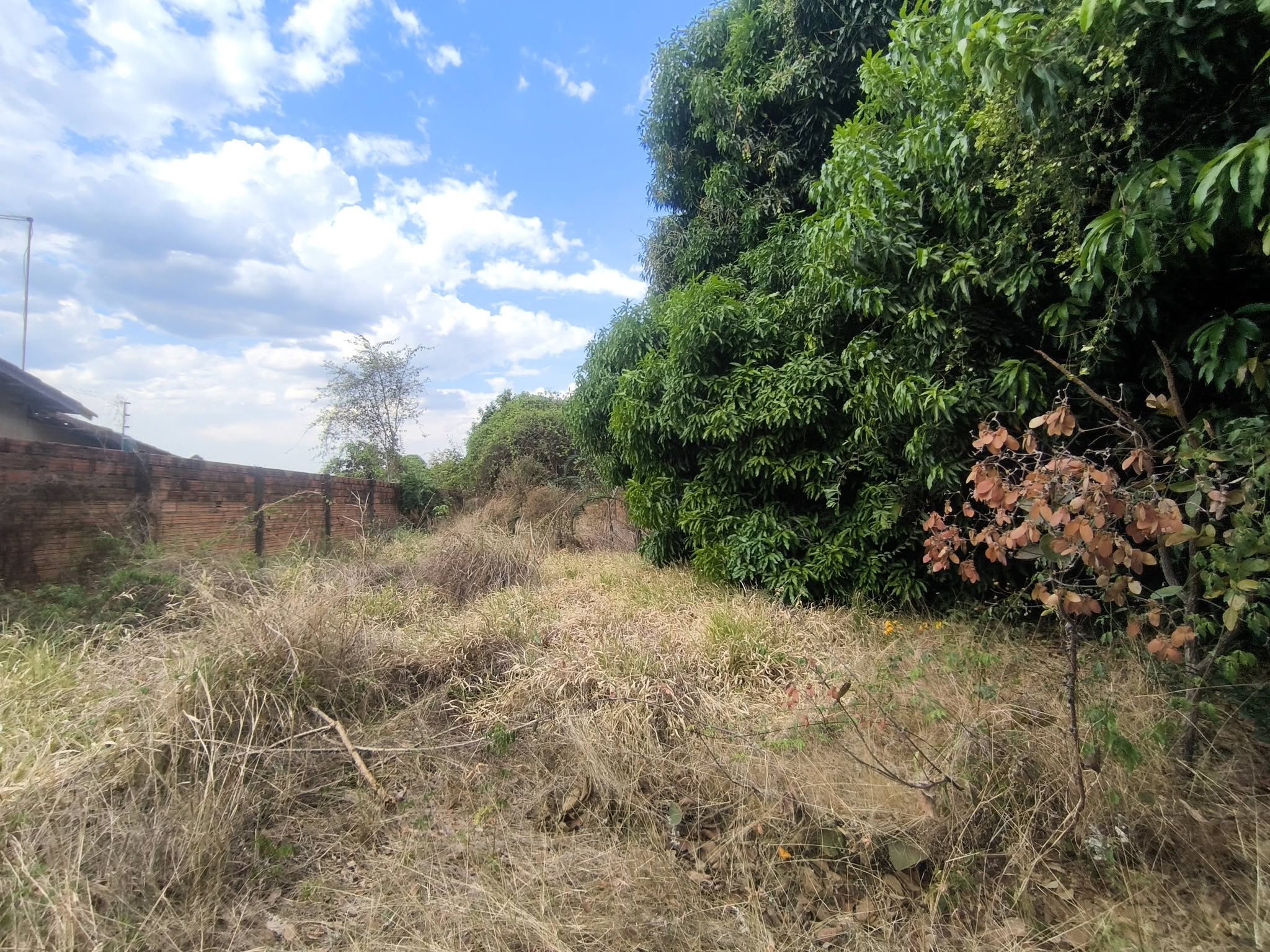 Terreno, 407 m² - Foto 5