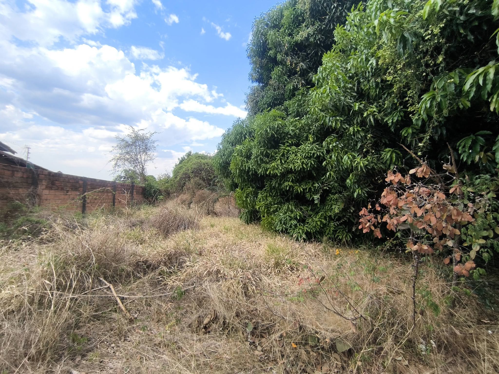 Terreno, 407 m² - Foto 4